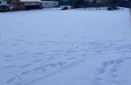 Teren de vânzare, 6000 mp + o casă bătrânească, în Voroneț