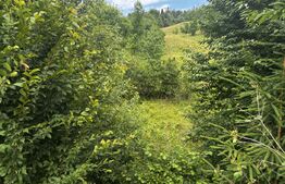Teren intravilan de vânzare, 6500mp + o casă bătrânească, în Voroneț