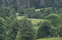 Teren intravilan de vânzare, 6500mp + o casă bătrânească, în Voroneț