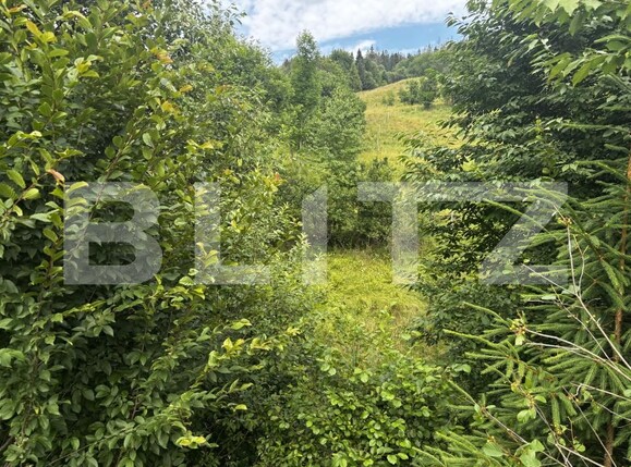 Teren de vânzare Exterior Vest - 186048TV | BLITZ Suceava | Poza8