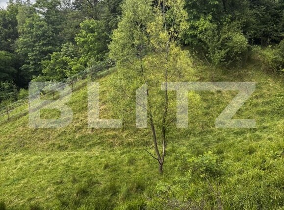 Teren de vânzare Exterior Vest - 186048TV | BLITZ Suceava | Poza11