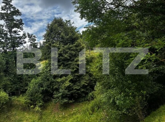 Teren de vânzare Exterior Vest - 186048TV | BLITZ Suceava | Poza5