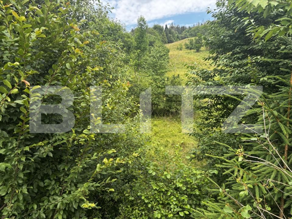 Teren de vânzare Exterior Vest - 186048TV | BLITZ Suceava | Poza8