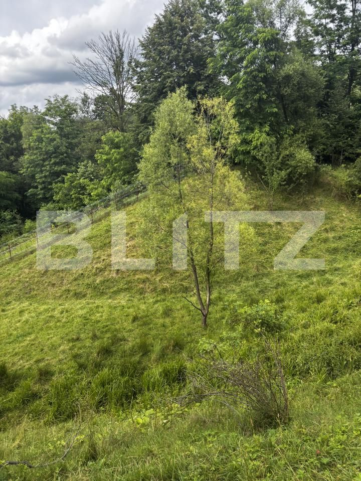 Teren de vânzare Exterior Vest - 186048TV | BLITZ Suceava | Poza11