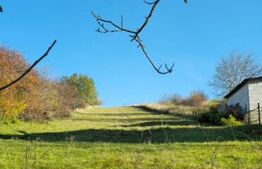 Teren de Vanzare, Burdujeni Sat, 24,6ari, toate utilitatile