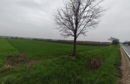 Teren 6000mp, 30 ml deschidere la DN 2H, Horodnic de Jos, Radauti