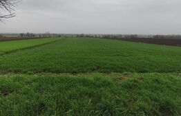 Teren 6000mp, 30 ml deschidere la DN 2H, Horodnic de Jos, Radauti