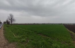 Teren 6000mp, 30 ml deschidere la DN 2H, Horodnic de Jos, Radauti