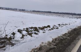 Teren de vânzare Exterior Est - 151677TV | BLITZ Suceava | Poza5