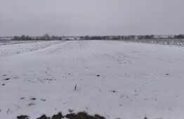 Teren 6000mp, 30 ml deschidere la DN 2H, Horodnic de Jos, Radauti