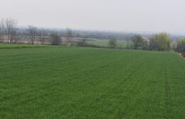 Teren 6000mp, 30 ml deschidere la DN 2H, Horodnic de Jos, Radauti