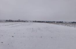 Teren 6000mp, 30 ml deschidere la DN 2H, Horodnic de Jos, Radauti