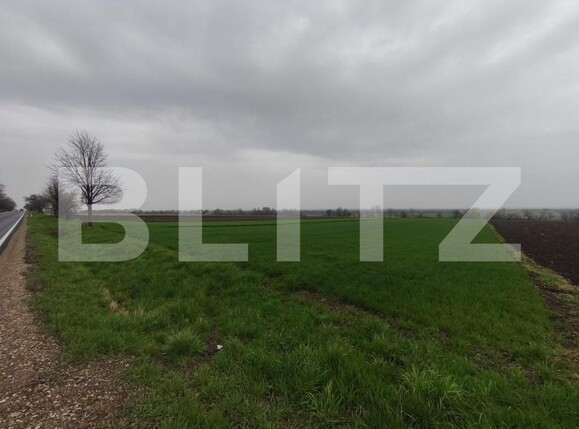 Teren de vânzare Horodnic - 186203TV | BLITZ Suceava | Poza7
