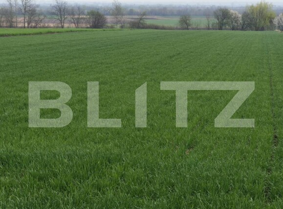Teren de vânzare Horodnic - 186203TV | BLITZ Suceava | Poza1