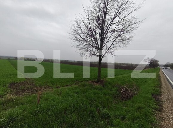 Teren de vânzare Horodnic - 186203TV | BLITZ Suceava | Poza2