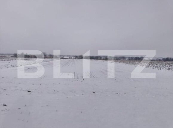 Teren de vânzare Horodnic - 186203TV | BLITZ Suceava | Poza4