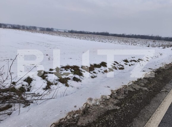 Teren de vânzare Horodnic de Jos - 186203TV | BLITZ Suceava | Poza3