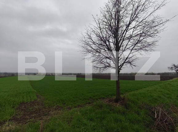 Teren de vânzare Horodnic - 186203TV | BLITZ Suceava | Poza3