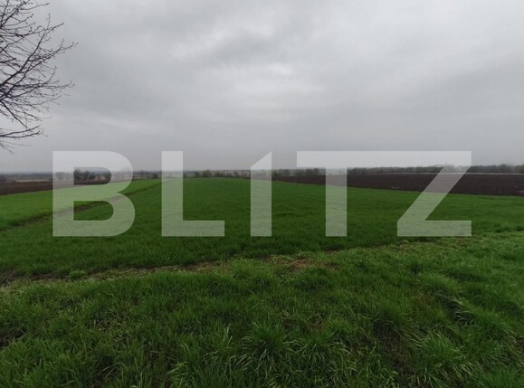 Teren de vânzare Horodnic - 186203TV | BLITZ Suceava | Poza4