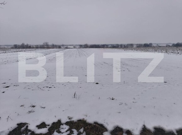 Teren de vânzare Horodnic de Jos - 186203TV | BLITZ Suceava | Poza2