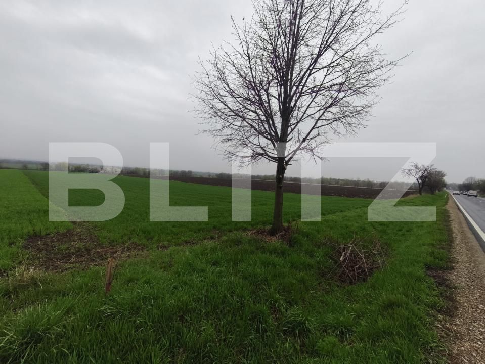Teren de vânzare Horodnic - 186203TV | BLITZ Suceava | Poza2