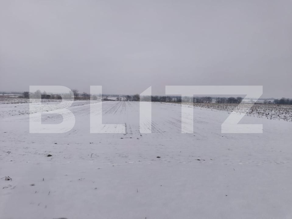 Teren de vânzare Horodnic - 186203TV | BLITZ Suceava | Poza4