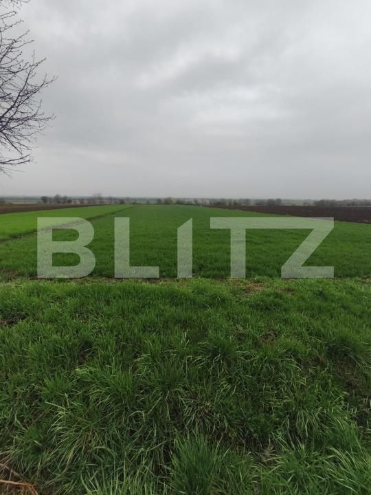 Teren de vânzare Horodnic - 186203TV | BLITZ Suceava | Poza5