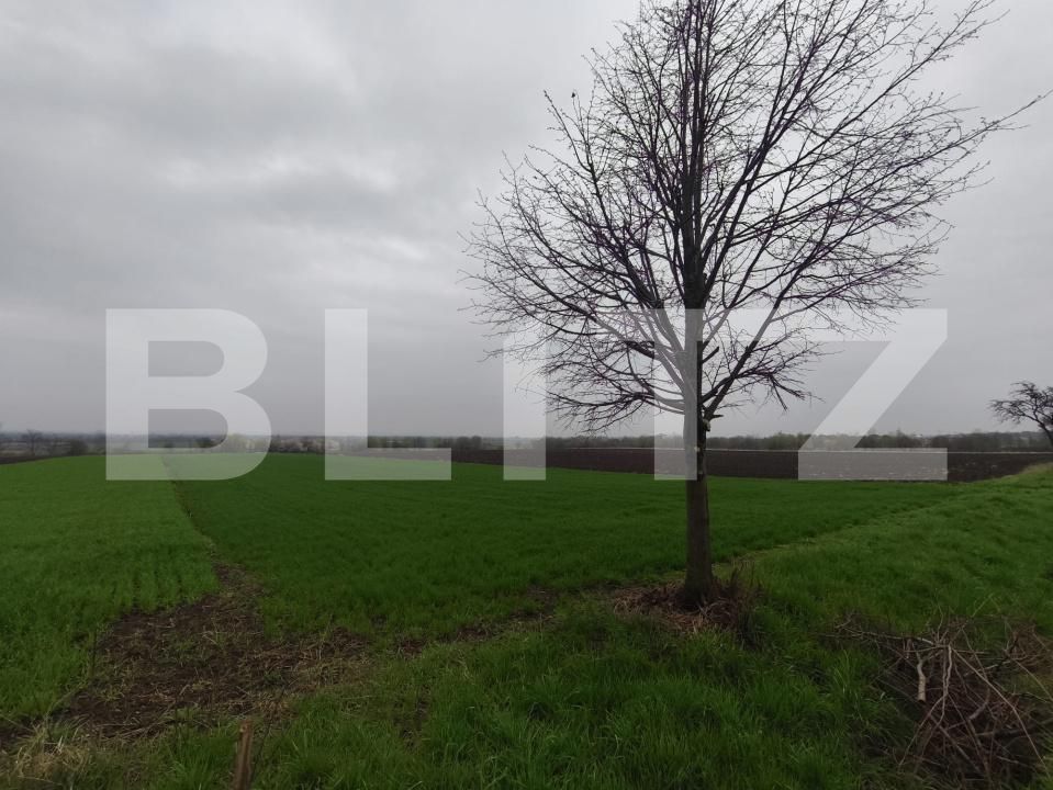Teren de vânzare Horodnic - 186203TV | BLITZ Suceava | Poza3