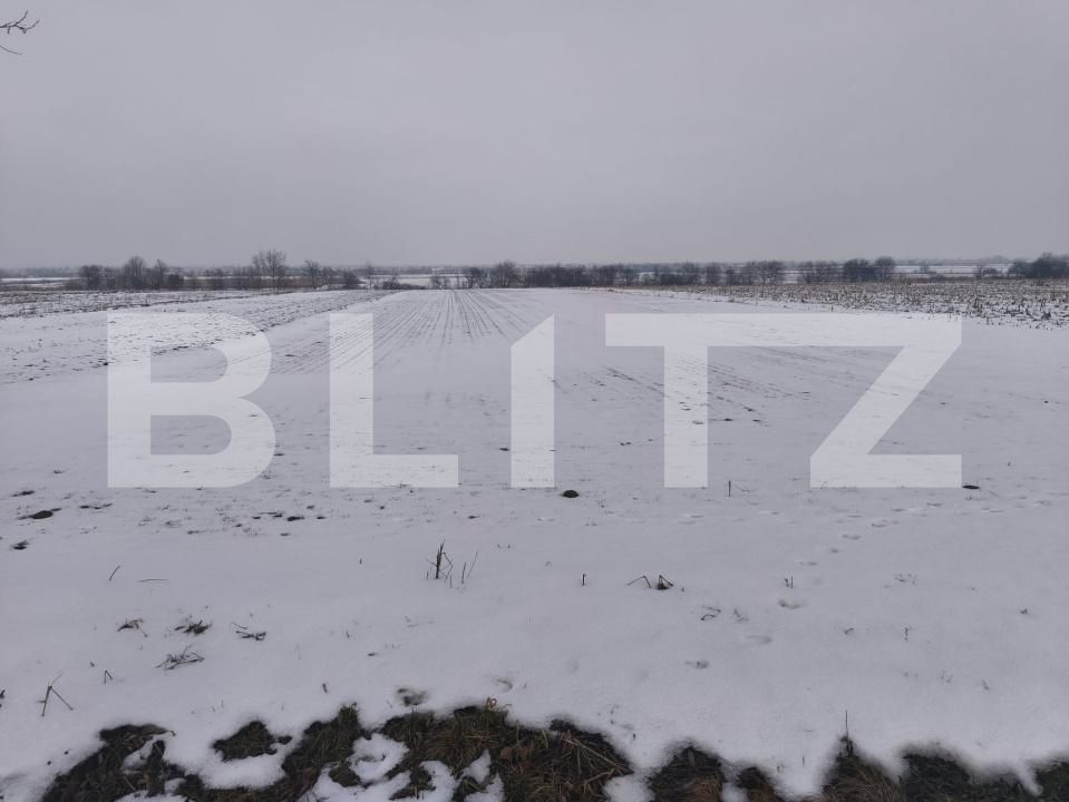 Teren de vânzare Horodnic de Jos - 186203TV | BLITZ Suceava | Poza2