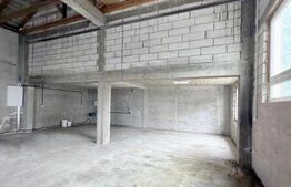 Hală industrială nouă, clădire birouri, 320 mp, 23 Ari teren, zona Burdujeni