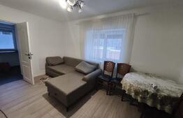 Apartament 2 camere, parter, complet renovat, Siret