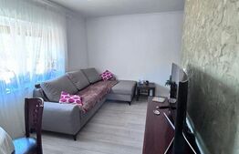 Apartament 2 camere, parter, complet renovat, Siret