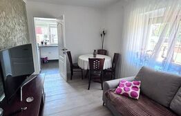 Apartament 2 camere, parter, complet renovat, Siret