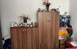 Apartament de vanzare, 2 camere, 50 mp, în Vatra Dornei 