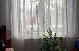 Apartament de vanzare, 2 camere, 50 mp, în Vatra Dornei 