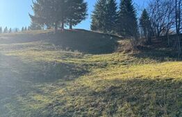 Teren în Vama, 13.050 mp, județul Suceava, Bucovina, intravilan + extravilan 