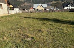 Teren în Vama, județul Suceava, Bucovina, intravilan + extravilan 