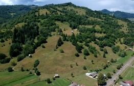 Teren în Vama, 13.050 mp, județul Suceava, Bucovina, intravilan + extravilan 