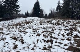 Teren în Vama, 13.050 mp, județul Suceava, Bucovina, intravilan + extravilan 