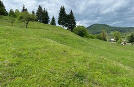 Teren în Vama, județul Suceava, Bucovina, intravilan + extravilan 