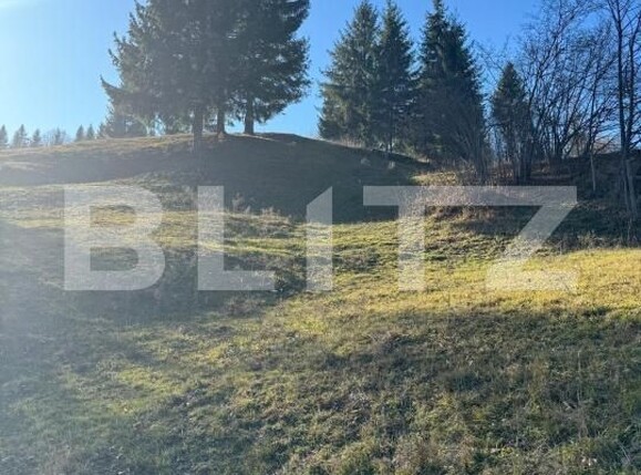 Teren de vânzare Exterior Vest - 186481TV | BLITZ Suceava | Poza6