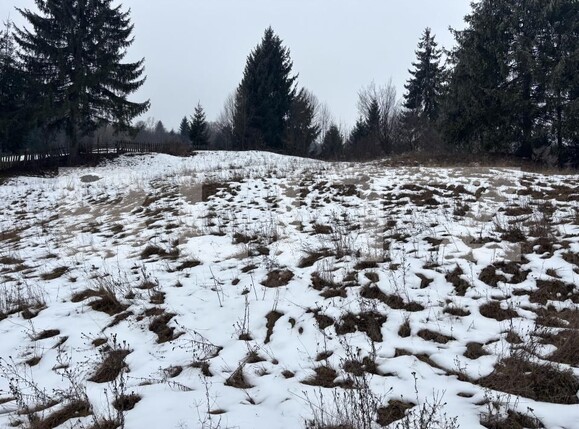 Teren de vânzare Exterior Vest - 186481TV | BLITZ Suceava | Poza9