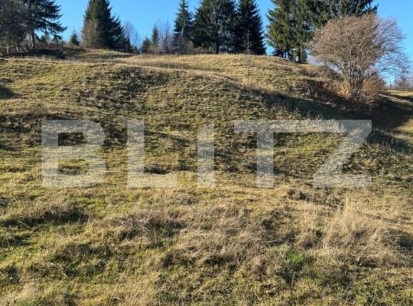 Teren de vânzare Exterior Vest - 186481TV | BLITZ Suceava | Poza7