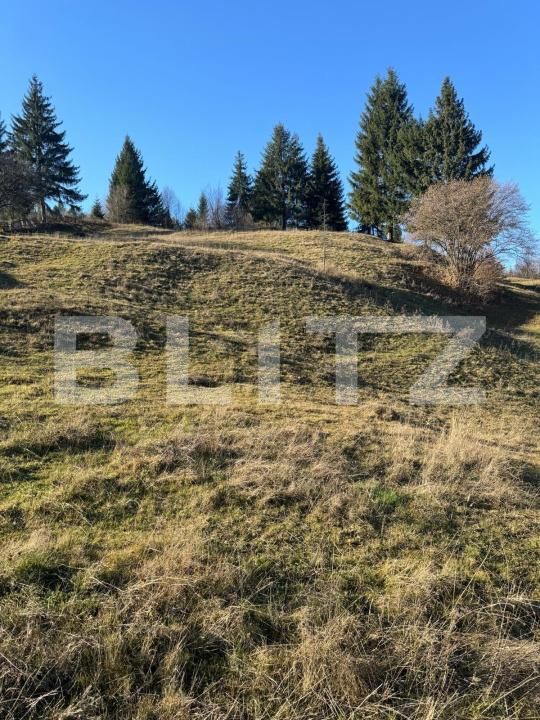 Teren de vânzare Exterior Vest - 186481TV | BLITZ Suceava | Poza7