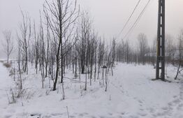 Teren intravilan , 5000mp, zona Negostina, Siret