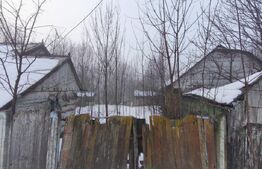 Teren intravilan , 5000mp, zona Negostina, Siret
