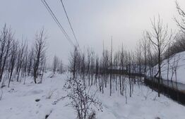 Teren intravilan , 5000mp, zona Negostina, Siret