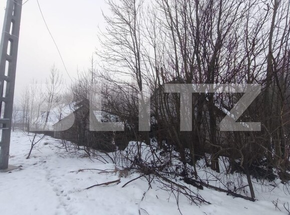 Casa de vânzare 3 camere Negostina - 186575CV | BLITZ Suceava | Poza4