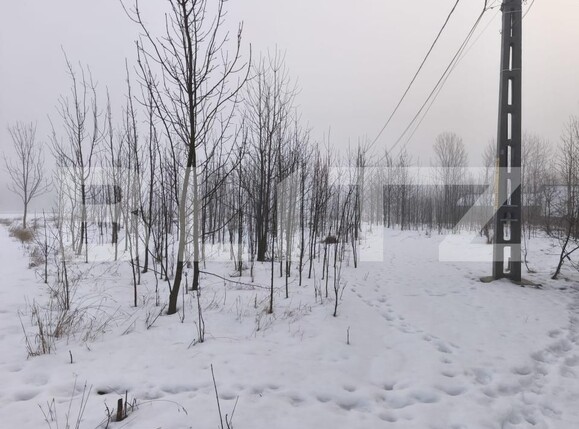 Casa de vânzare 3 camere Negostina - 186575CV | BLITZ Suceava | Poza3