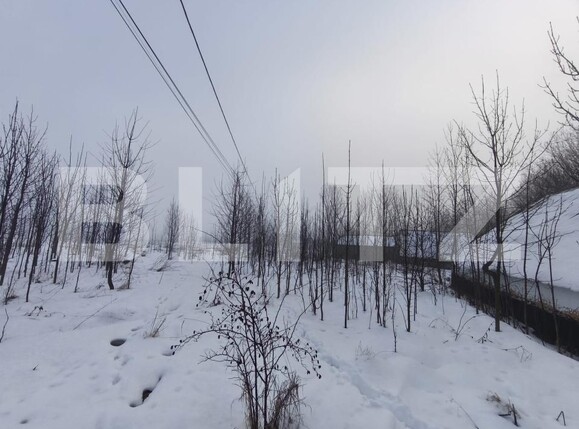 Casa de vânzare 3 camere Negostina - 186575CV | BLITZ Suceava | Poza2